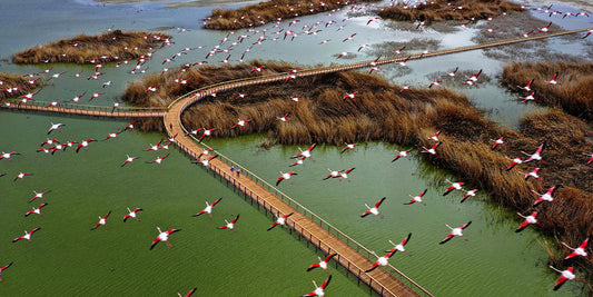 La Biennale di Venezia — Skywalk by Xerjoff