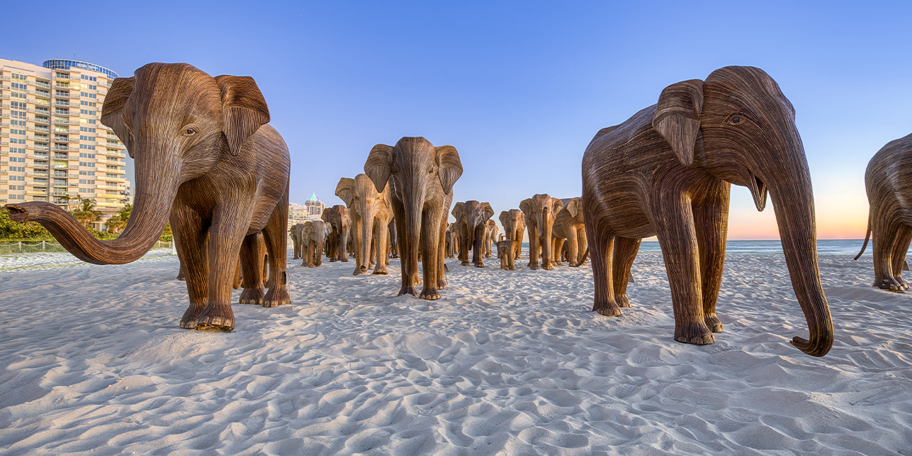 Elephant Family