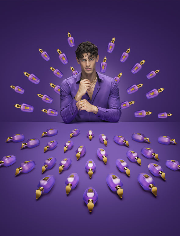 Purple Accento