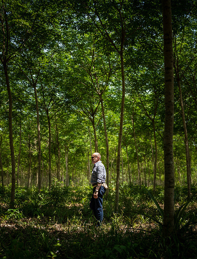 Nature & Craftsmanship