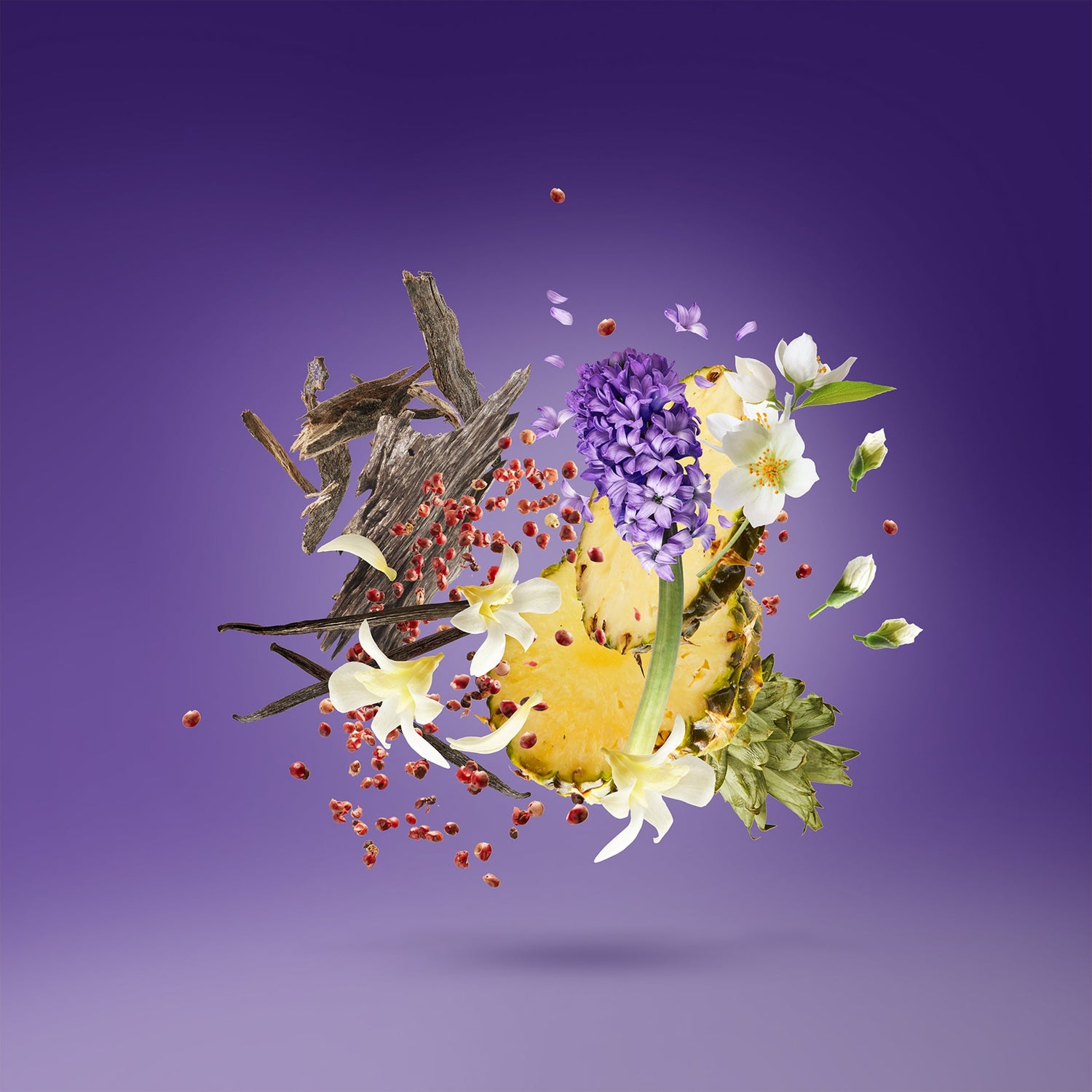 Purple Accento