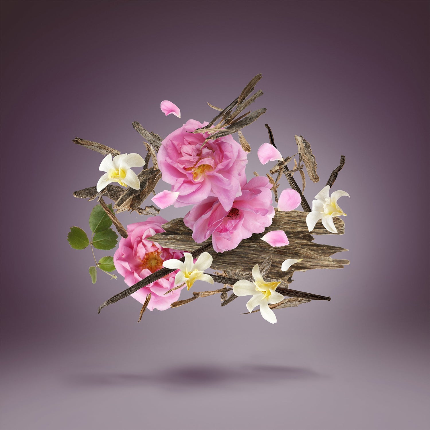 Warda Al Oud