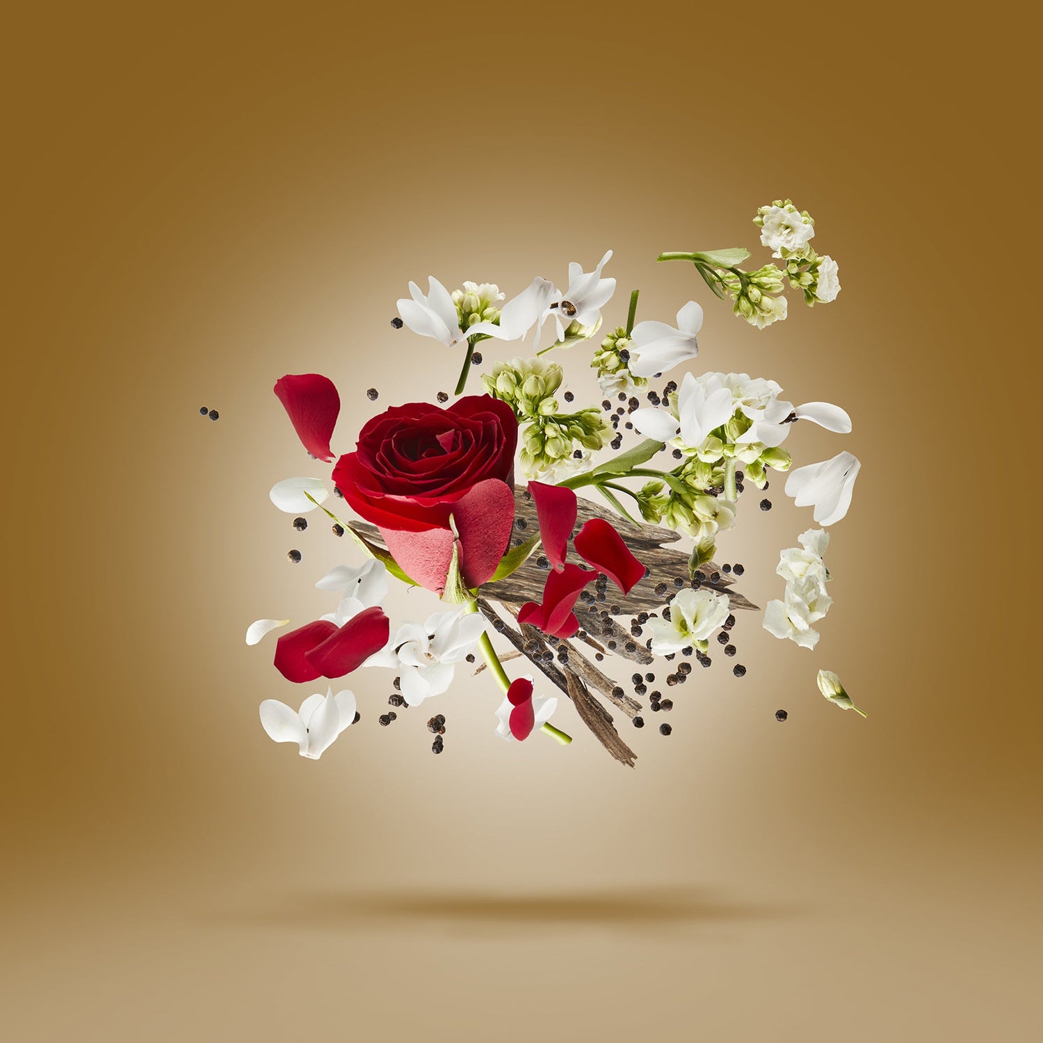 Zafar